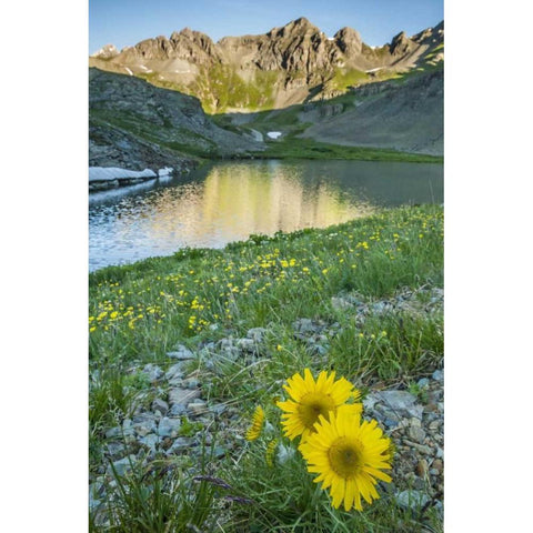 CO, San Juan Mts Lake and alpine sunflowers Black Modern Wood Framed Art Print by Illg, Cathy and Gordon