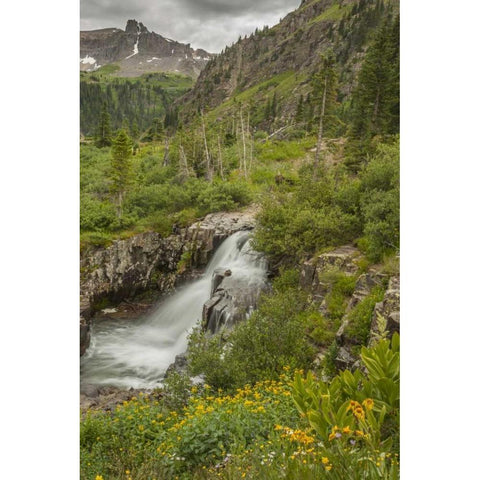 CO, San Juan Mts Waterfall in Yankee Boy Basin White Modern Wood Framed Art Print by Illg, Cathy and Gordon