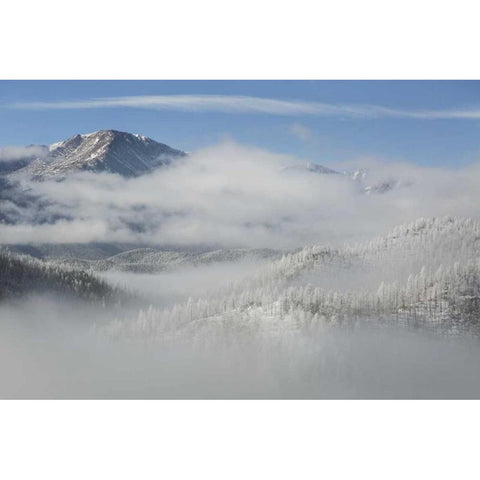 CO, Clouds fill the valleys below Pikes Peak Black Modern Wood Framed Art Print with Double Matting by Grall, Don