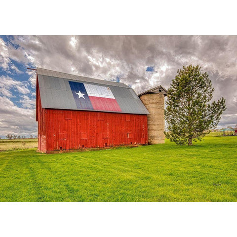 Colorado-Larimer County Red in farm field  Black Modern Wood Framed Art Print with Double Matting by Jaynes Gallery