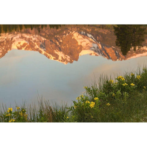 Colorado-Rock Mountain National Park Mountain reflection in Sprague Lake  Black Modern Wood Framed Art Print by Jaynes Gallery