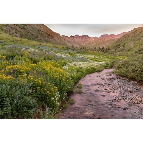 USA-Colorado Mountain landscape with wildflowers and stream Gold Ornate Wood Framed Art Print with Double Matting by Jaynes Gallery