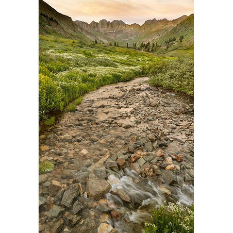 USA-Colorado Mountain landscape with wildflowers and stream Black Modern Wood Framed Art Print by Jaynes Gallery