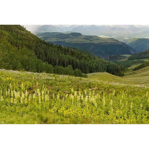 USA-Colorado-San Juan Mountains Summer mountain landscape Black Modern Wood Framed Art Print with Double Matting by Jaynes Gallery