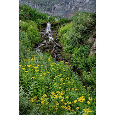 USA-Colorado-Uncompahgre National Forest Mountain landscape with waterfall and wildflowers Black Modern Wood Framed Art Print by Jaynes Gallery