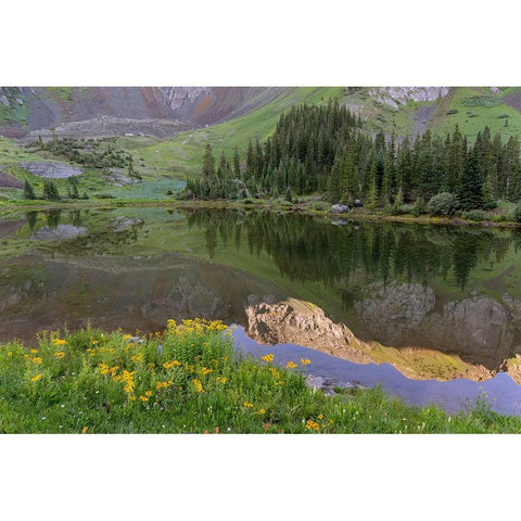 USA-Colorado-Uncompahgre National Forest Mountain wildflowers and pond landscape Black Modern Wood Framed Art Print by Jaynes Gallery