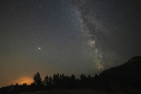 USA-Colorado-Eleven Mile Canyon The Milky Way galaxy and forest silhouette at night White Modern Wood Framed Art Print with Double Matting by Jaynes Gallery