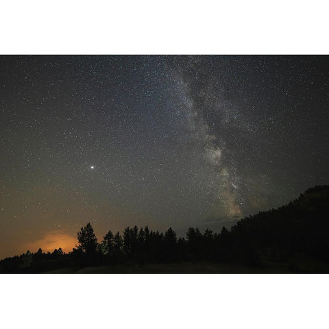 USA-Colorado-Eleven Mile Canyon The Milky Way galaxy and forest silhouette at night Black Modern Wood Framed Art Print by Jaynes Gallery