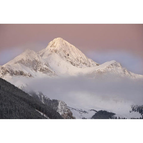 USA-Colorado-Uncompahgre National Forest Autumn sunrise on Wilson Peak Black Modern Wood Framed Art Print with Double Matting by Jaynes Gallery