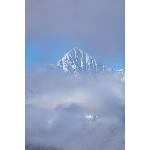USA-Colorado-Uncompahgre National Forest Autumn sunrise on foggy Wilson Peak Black Modern Wood Framed Art Print by Jaynes Gallery