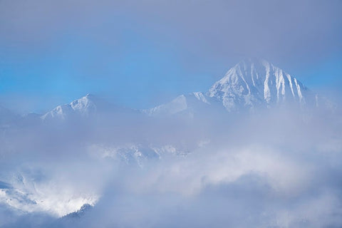 USA-Colorado-Uncompahgre National Forest Autumn sunrise on foggy Wilson Peak Black Ornate Wood Framed Art Print with Double Matting by Jaynes Gallery