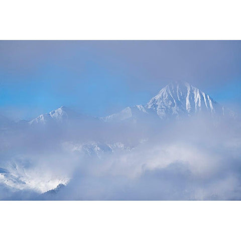 USA-Colorado-Uncompahgre National Forest Autumn sunrise on foggy Wilson Peak Black Modern Wood Framed Art Print with Double Matting by Jaynes Gallery
