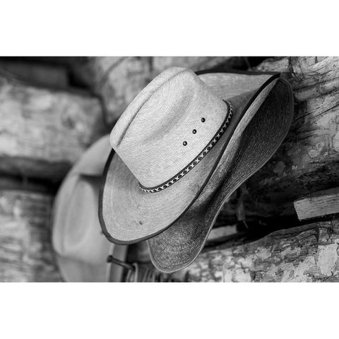 USA-Colorado-Westcliffe Music Meadows Ranch Tack room-cowboy hat detail Black Modern Wood Framed Art Print by Hopkins, Cindy Miller
