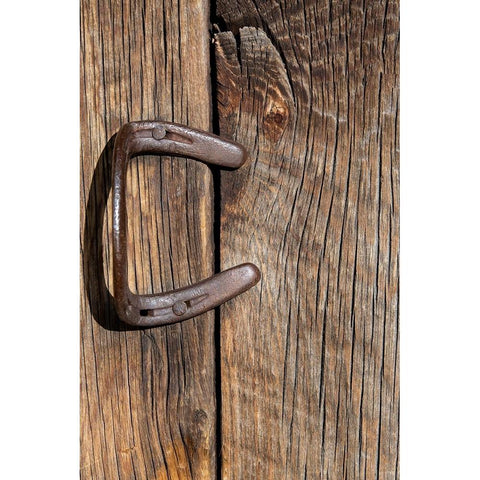 USA-Colorado-Westcliffe Old wooden barn wall with bent horseshoe handle Black Modern Wood Framed Art Print by Hopkins, Cindy Miller