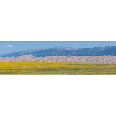 USA-Colorado-San Luis Valley-Great Sand Dunes National Park Gold Ornate Wood Framed Art Print with Double Matting by Hopkins, Cindy Miller