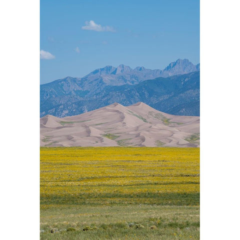 USA-Colorado-San Luis Valley-Great Sand Dunes National Park Black Modern Wood Framed Art Print by Hopkins, Cindy Miller