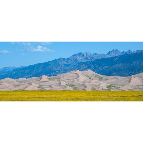 USA-Colorado-San Luis Valley-Great Sand Dunes National Park Black Modern Wood Framed Art Print by Hopkins, Cindy Miller
