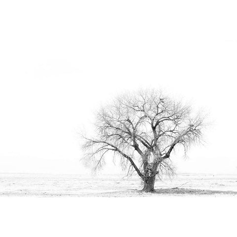 Lone tree Gold Ornate Wood Framed Art Print with Double Matting by Theodore, George and Marilu