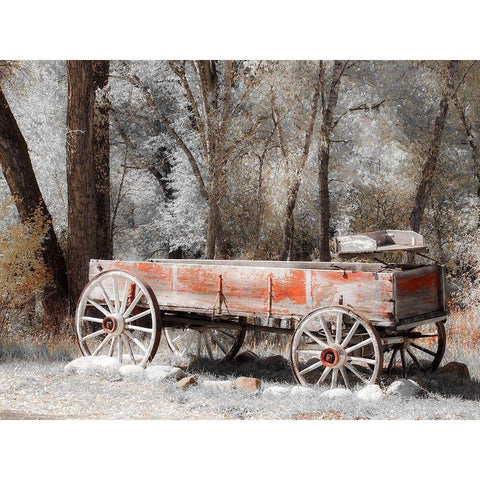 Colorado Old red wagon Gold Ornate Wood Framed Art Print with Double Matting by Eggers, Julie