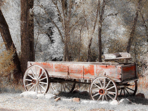Colorado Old red wagon Black Ornate Wood Framed Art Print with Double Matting by Eggers, Julie