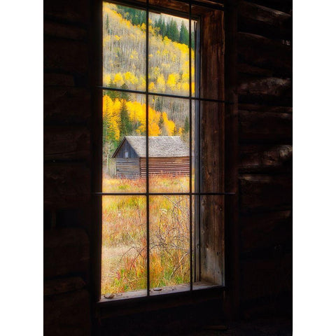 Colorado Looking out a window in the ghost town of Ashcroft in autumn near Aspen-Colorado Gold Ornate Wood Framed Art Print with Double Matting by Eggers, Julie