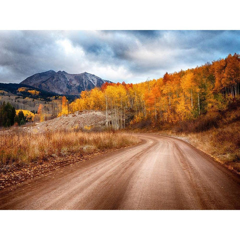 Colorado-San Juan Mts Road leading through an aspen grove towards East Beckwith Mountain Gold Ornate Wood Framed Art Print with Double Matting by Eggers, Julie