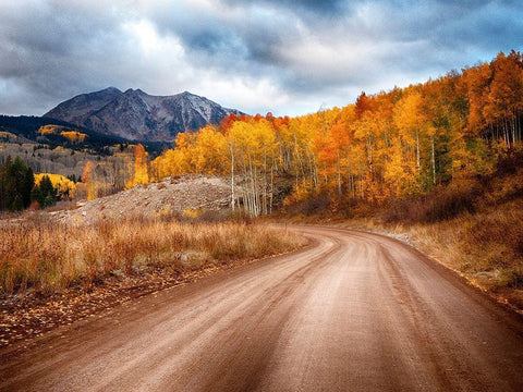 Colorado-San Juan Mts Road leading through an aspen grove towards East Beckwith Mountain White Modern Wood Framed Art Print with Double Matting by Eggers, Julie