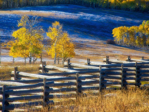 Colorado-San Juan Mts Fence line and aspens with fresh snow in the fall Black Ornate Wood Framed Art Print with Double Matting by Eggers, Julie