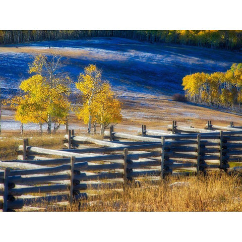 Colorado-San Juan Mts Fence line and aspens with fresh snow in the fall Black Modern Wood Framed Art Print by Eggers, Julie