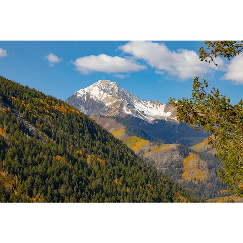 Maroon Bells-Snowmass Wilderness in Aspen Black Modern Wood Framed Art Print by Ostrowitz, Mallorie