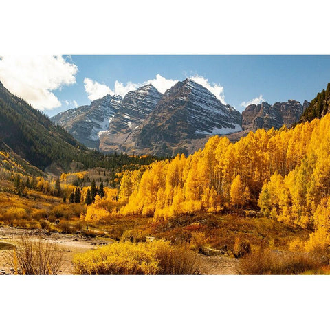 Maroon Bells-Snowmass Wilderness in Aspen-Colorado in autumn Gold Ornate Wood Framed Art Print with Double Matting by Ostrowitz, Mallorie