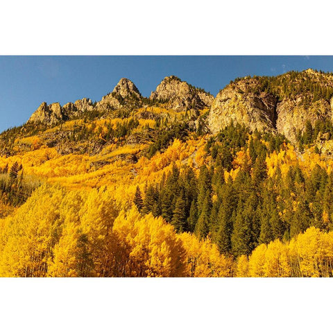Maroon Bells-Snowmass Wilderness in Aspen-Colorado in autumn Black Modern Wood Framed Art Print with Double Matting by Ostrowitz, Mallorie