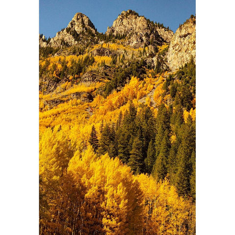 Mountains surrounding the Maroon Bells-Snowmass Wilderness in Aspen-Colorado Black Modern Wood Framed Art Print by Ostrowitz, Mallorie