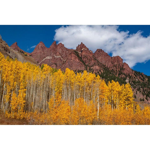 Maroon Bells-Snowmass Wilderness of Colorado-red rock cliffs Black Modern Wood Framed Art Print with Double Matting by Ostrowitz, Mallorie