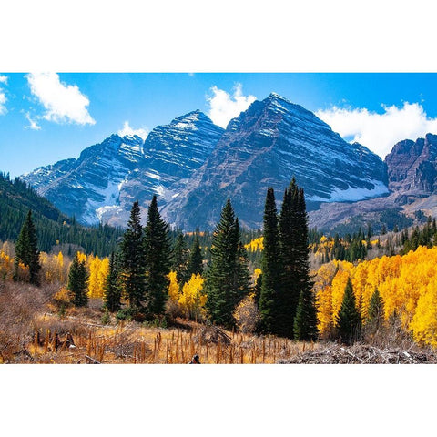 Snowcapped Maroon Bells-Snowmass Wilderness in autumn Black Modern Wood Framed Art Print by Ostrowitz, Mallorie