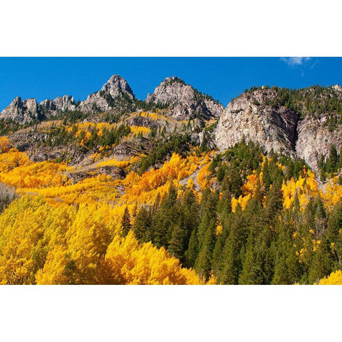 Aspen-Colorado Maroon Bells-Snowmass Wilderness Black Modern Wood Framed Art Print with Double Matting by Ostrowitz, Mallorie