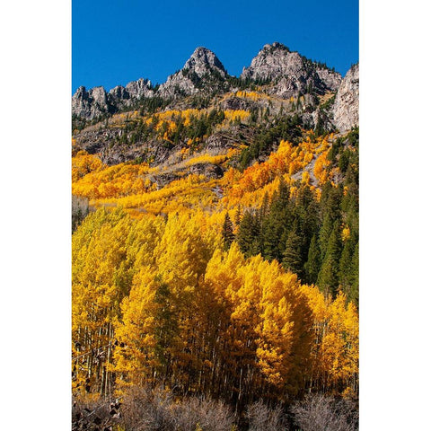 Maroon Bells-Snowmass Wilderness in autumn Black Modern Wood Framed Art Print by Ostrowitz, Mallorie