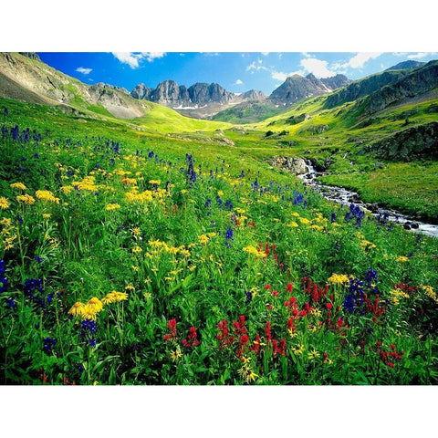 Spring is graced with American Basin wildflowers in the Colorado Rocky Mountains Black Modern Wood Framed Art Print with Double Matting by SMO