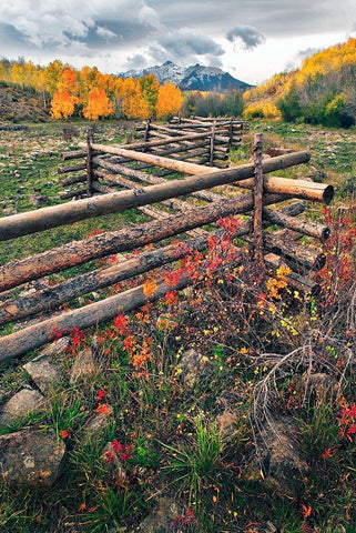 A log fence leads to the horizon on Dallas divide near Telluride in the Colorado Rocky Mountains Black Ornate Wood Framed Art Print with Double Matting by SMO