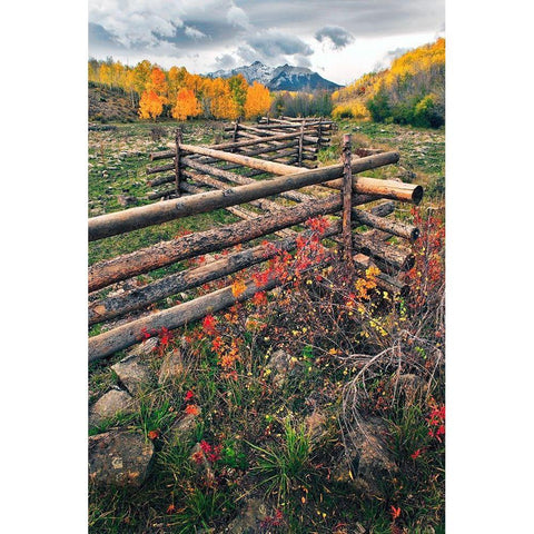 A log fence leads to the horizon on Dallas divide near Telluride in the Colorado Rocky Mountains Black Modern Wood Framed Art Print by SMO