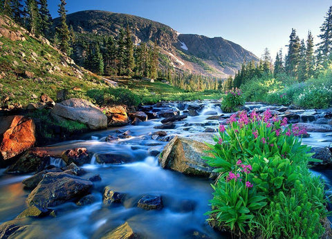 Fresh Rocky Mountain spring runoff cascades past wildflowers in bloom White Modern Wood Framed Art Print with Double Matting by SMO
