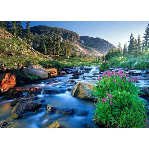 Fresh Rocky Mountain spring runoff cascades past wildflowers in bloom Black Modern Wood Framed Art Print by SMO