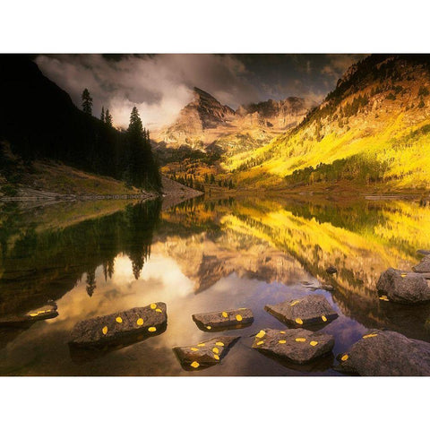 Maroon bells near Aspen Colorado in full Fall blazing yellow color Black Modern Wood Framed Art Print with Double Matting by SMO