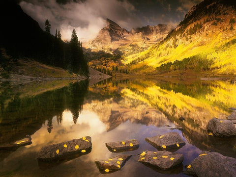 Maroon bells near Aspen Colorado in full Fall blazing yellow color Black Ornate Wood Framed Art Print with Double Matting by SMO