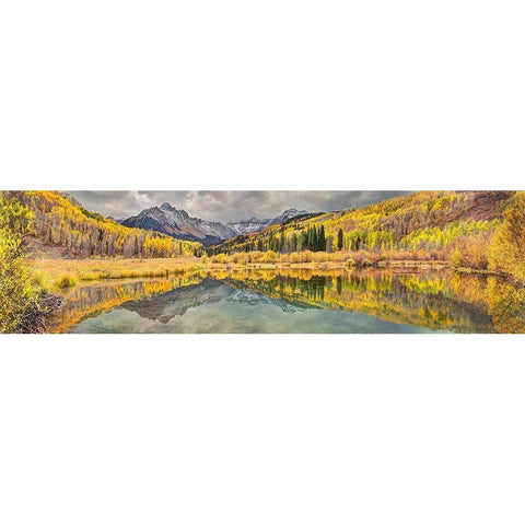 Mt Snaffles and a sea of gold Aspen trees reflects in a large pond in autumn Black Modern Wood Framed Art Print by SMO