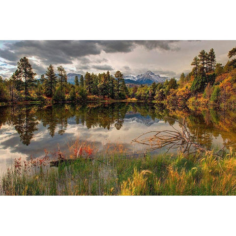 A tranquil pond reflects Mt Snaffles and Fall in the Colorado Rocky Mountains Black Modern Wood Framed Art Print by SMO