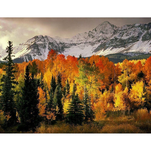Wilson Peak near Telluride in the Colorado Rocky Mountains Gold Ornate Wood Framed Art Print with Double Matting by SMO