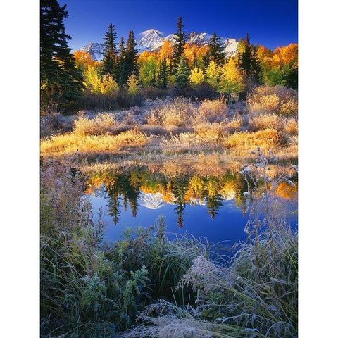 Wilson Peak near Telluride in the Colorado Rocky Mountains Black Modern Wood Framed Art Print with Double Matting by SMO