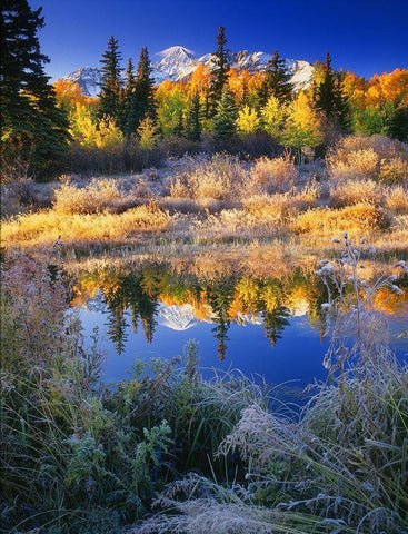 Wilson Peak near Telluride in the Colorado Rocky Mountains White Modern Wood Framed Art Print with Double Matting by SMO