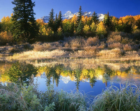 Wilson Peak near Telluride in the Colorado Rocky Mountains Black Ornate Wood Framed Art Print with Double Matting by SMO